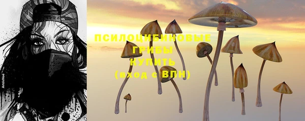 ALPHA PVP Белокуриха