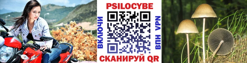 Купить где  Макарьев  Галлюциногенные грибы MAGIC MUSHROOMS 