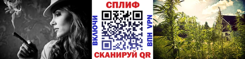Шишки марихуана план  Купить закладки  Макарьев 